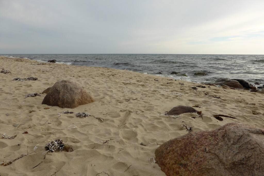 Oak Cottage Near Ronne & Beach Ngoại thất bức ảnh