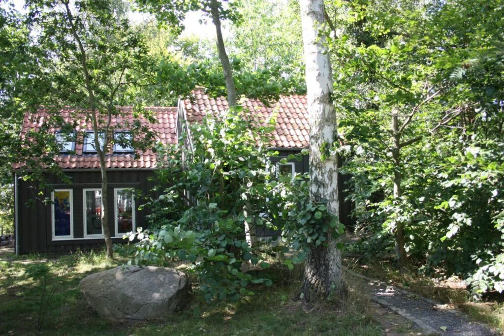 Oak Cottage Near Ronne & Beach Ngoại thất bức ảnh